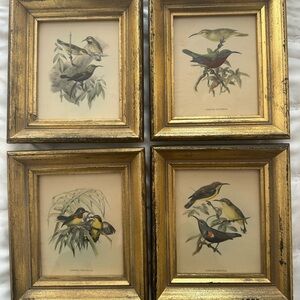 Set of Four Gold Framed Bird Prints